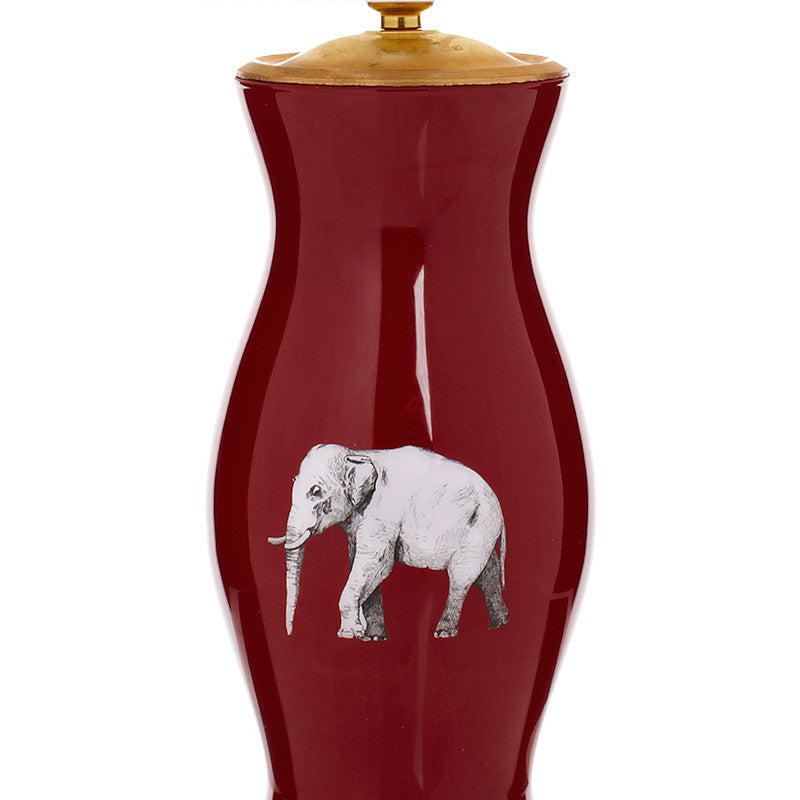THE ELEPHANT IN THE ROOM SHOT