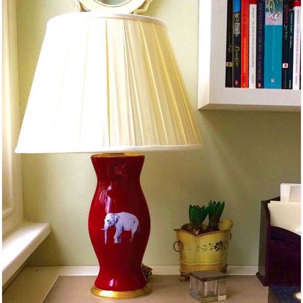 THE ELEPHANT IN THE ROOM SHOT