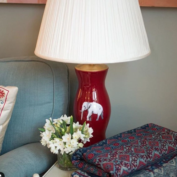 THE ELEPHANT IN THE ROOM SHOT